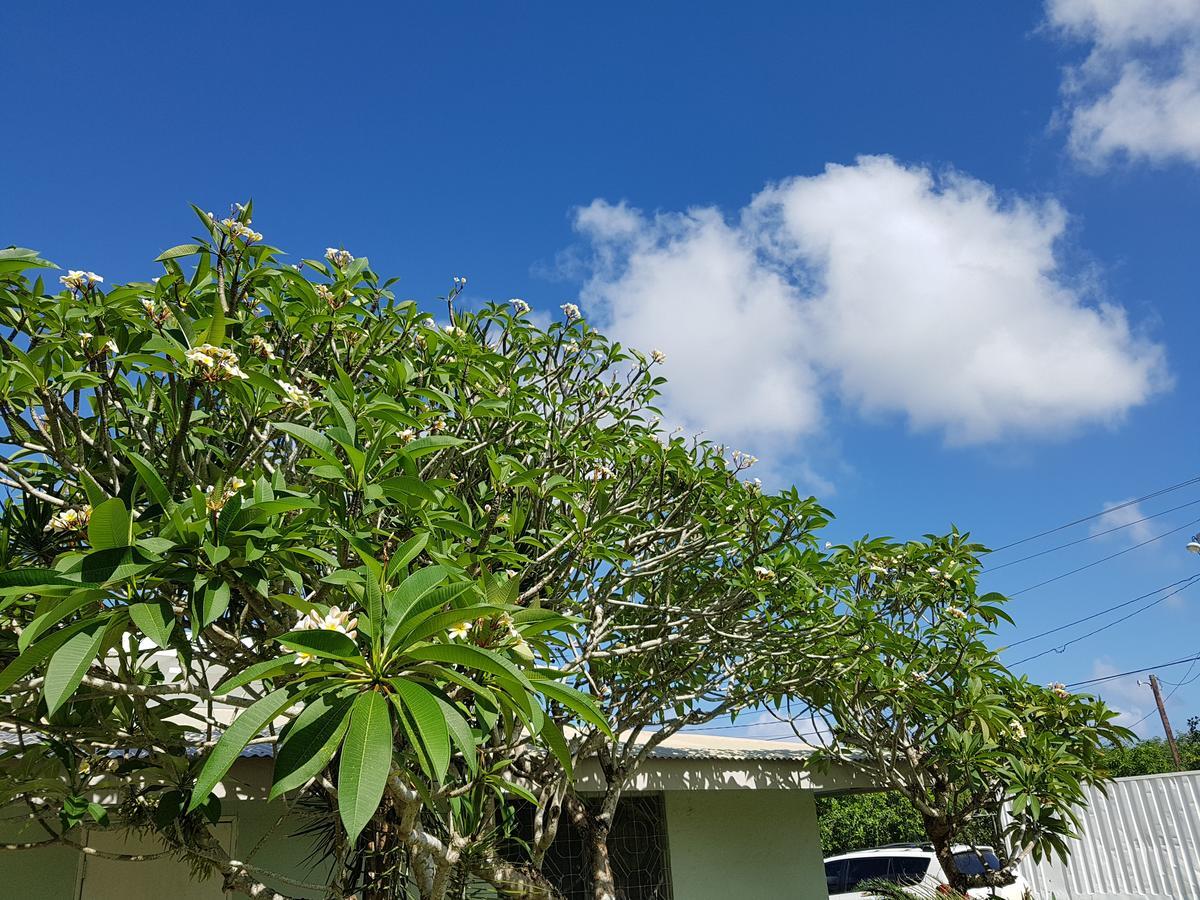 Saipan Family Residence Susupe Dış mekan fotoğraf